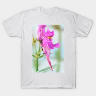 Linaria triornithophora  Three birds toadflax T-Shirt